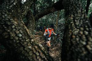 BIB: 
                            <button type="button" onclick="openModal(25392414)" class="btn btn-primary btn-sm float-right btn-popup" data-toggle="modal" data-target=".modal-high-quality">
                        <i class="fas fa-shopping-cart"></i> Add to Cart
                    </button>
                                            <button type="button" onclick="isThisMe(25392414, true)" class="btn btn-success btn-sm float-right btn-popup btn-isme hidden" data-toggle="tooltip" data-placement="bottom" title="นี่คือรูปของคุณใช่ไหม คลิกที่นี่เพื่อเอาเข้าอัลบั้ม">
                        <i class="fas fa-plus"></i> Add to album
                    </button>
                    <button type="button" onclick="isThisMe(25392414, false)" class="btn btn-warning btn-sm float-right btn-popup btn-isnotme hidden">
                        <i class="fas fa-ban"></i> Remove from album
                    </button>